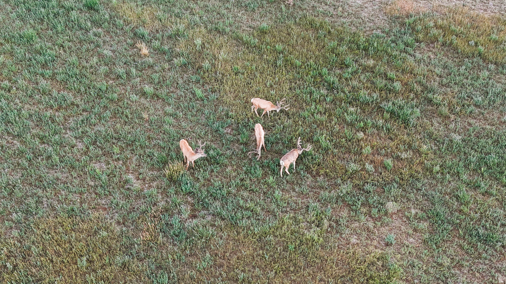 7250 S HANLEY LN Price, UT 84501