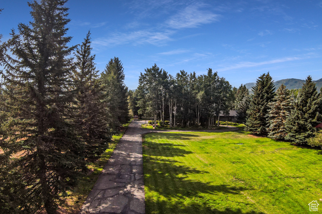 View of road