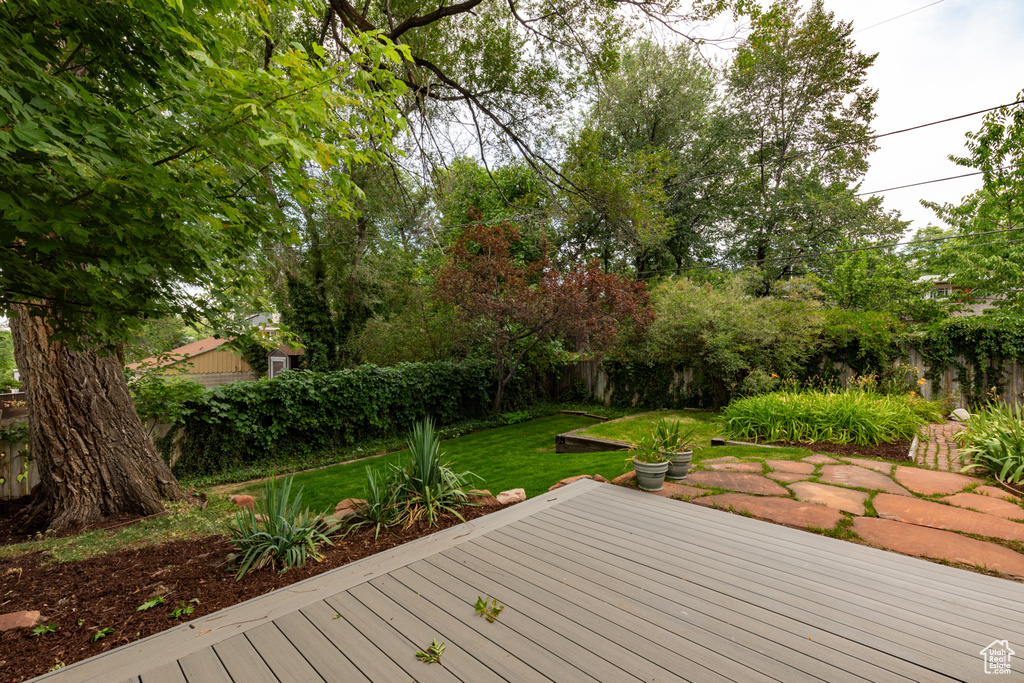 Wooden deck featuring a yard