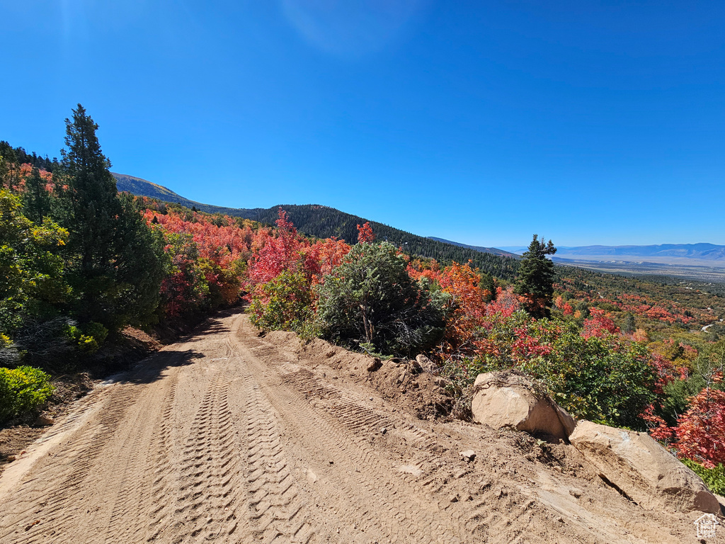 23 Pine Creek Rd Mt Pleasant UT 84647 74,000