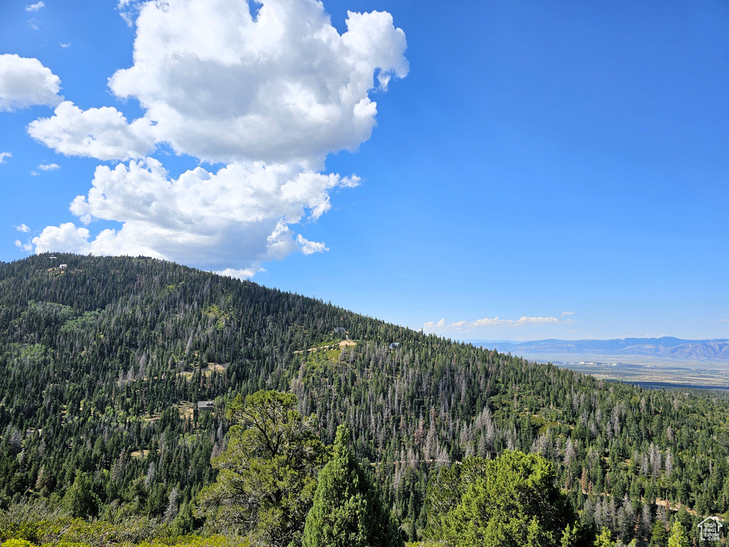 23 Pine Creek Rd Mt Pleasant UT 84647 74,000