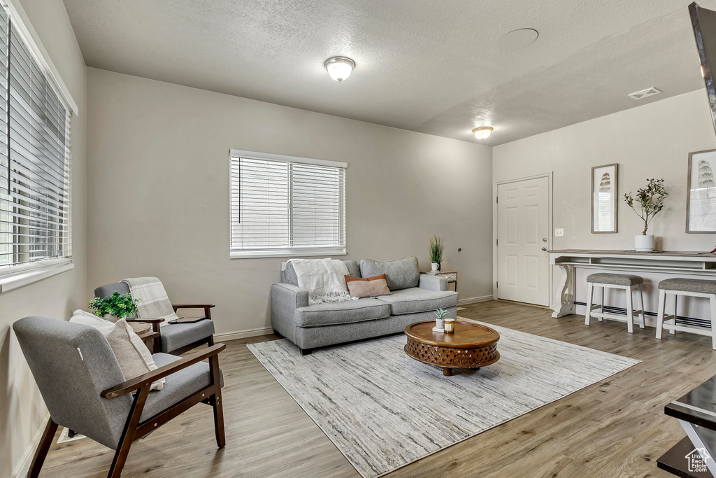 Living room featuring light hardwood / wood-style flooring and plenty of natural light