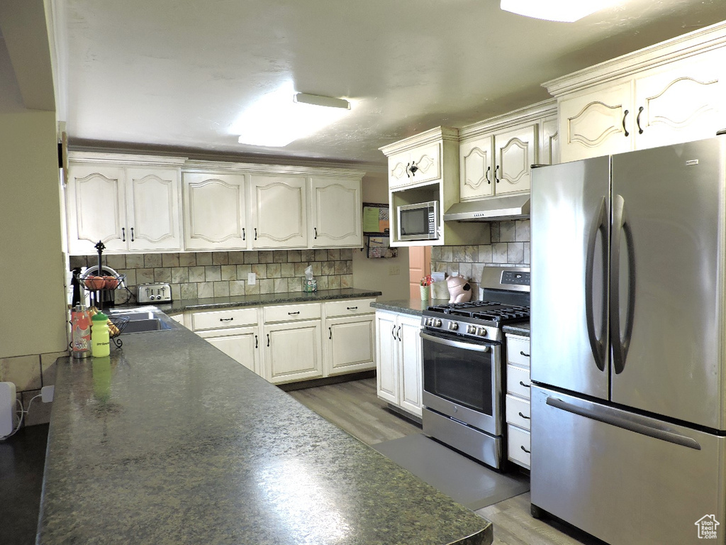 Kitchen featuring tasteful backsplash, sink, stainless steel appliances, and dark hardwood / wood-style floors