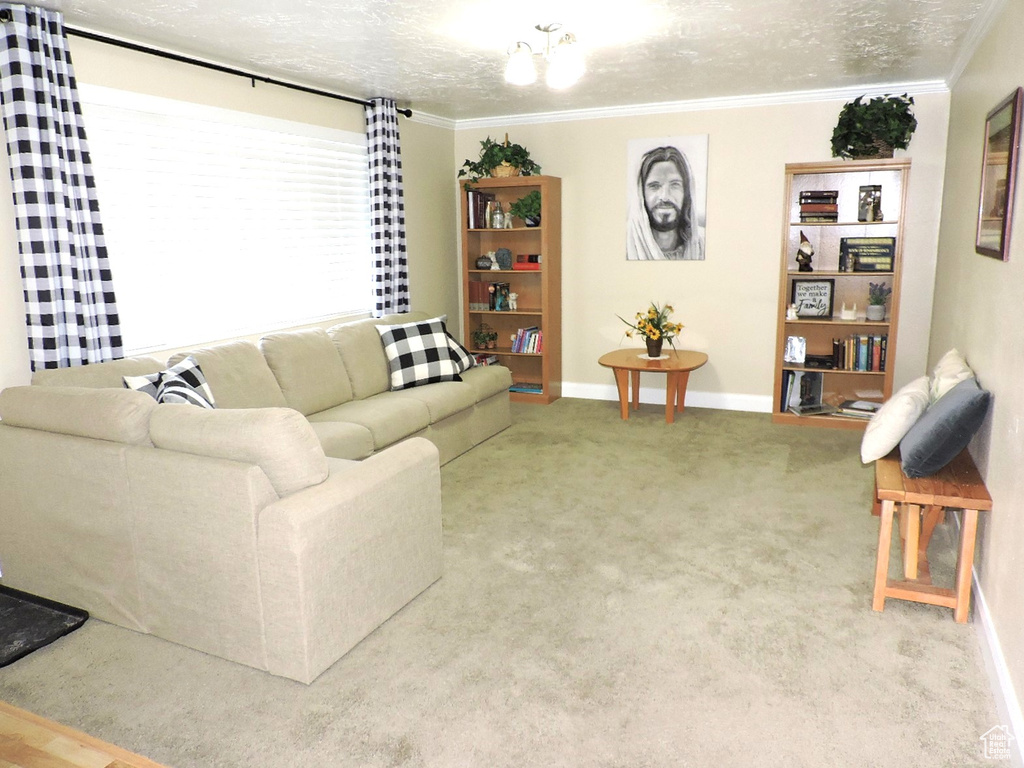 Living room featuring a textured ceiling and crown molding