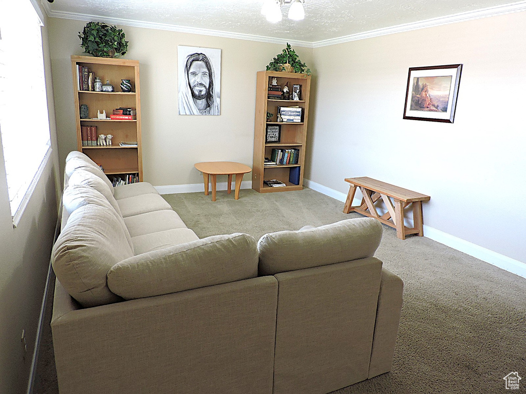 Living room with carpet floors, baseboards, and crown molding