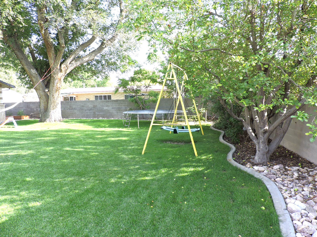 View of yard with a trampoline