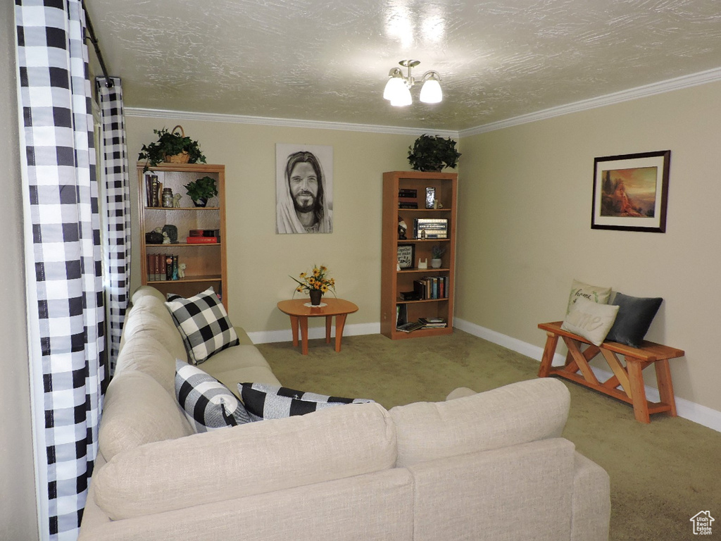 Carpeted living room featuring ornamental molding and a textured ceiling