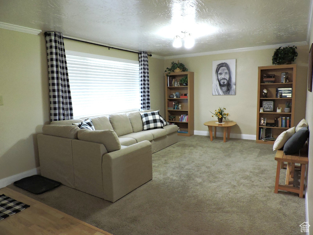 Carpeted living room with a textured ceiling and crown molding