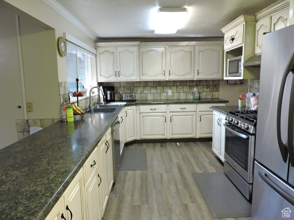 Kitchen featuring crown molding, stainless steel appliances, backsplash, light hardwood / wood-style flooring, and sink