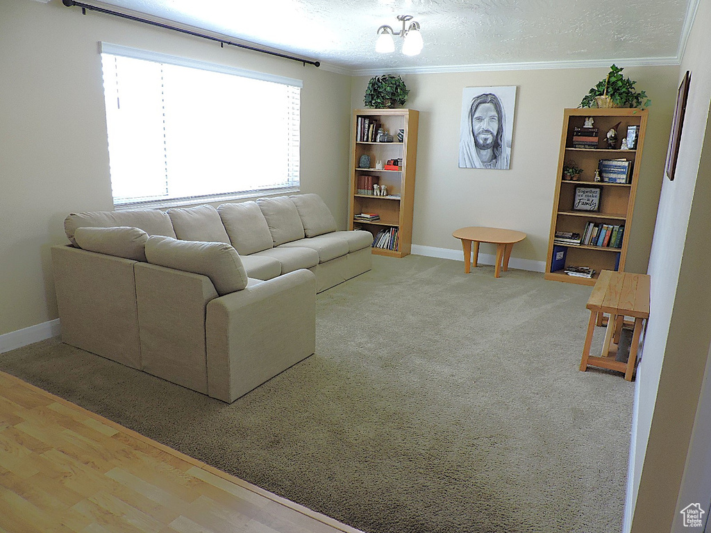 Living room featuring baseboards and ornamental molding
