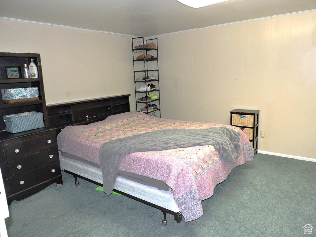 Bedroom with carpet floors