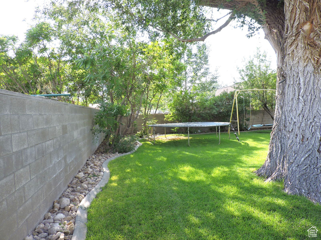 View of yard featuring a trampoline