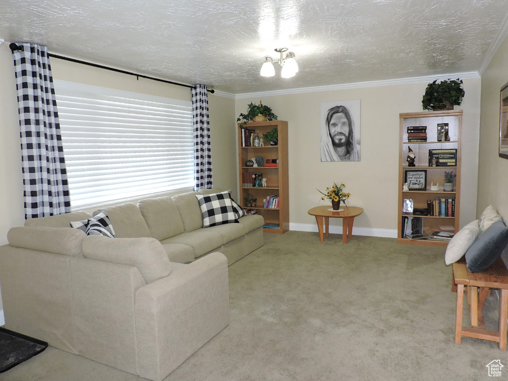 Living room featuring crown molding, a textured ceiling, carpet, and an inviting chandelier