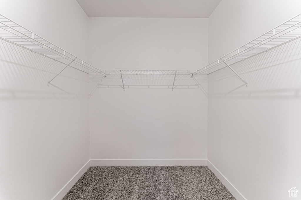 Spacious closet featuring carpet