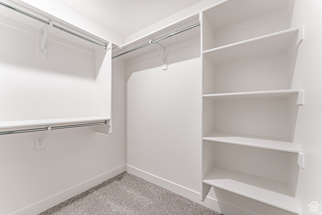 Spacious closet with light carpet