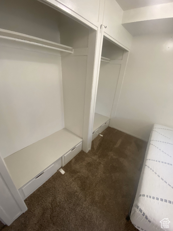 Spacious closet with dark colored carpet