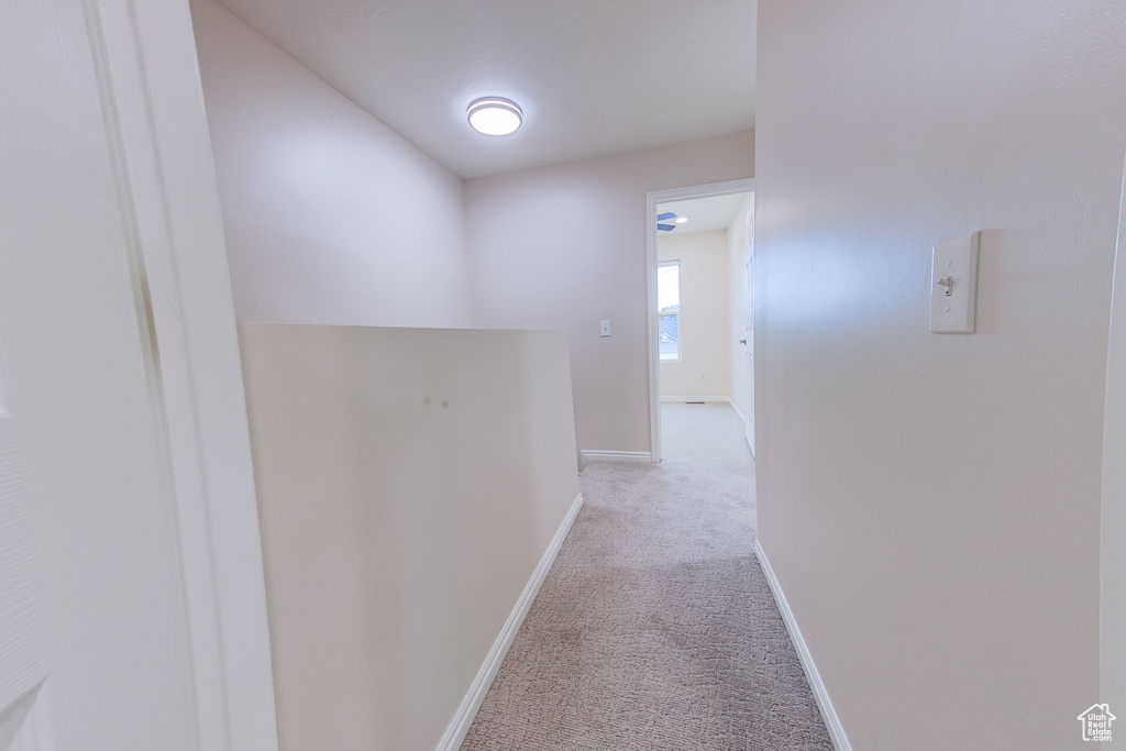 Hall featuring carpet floors
