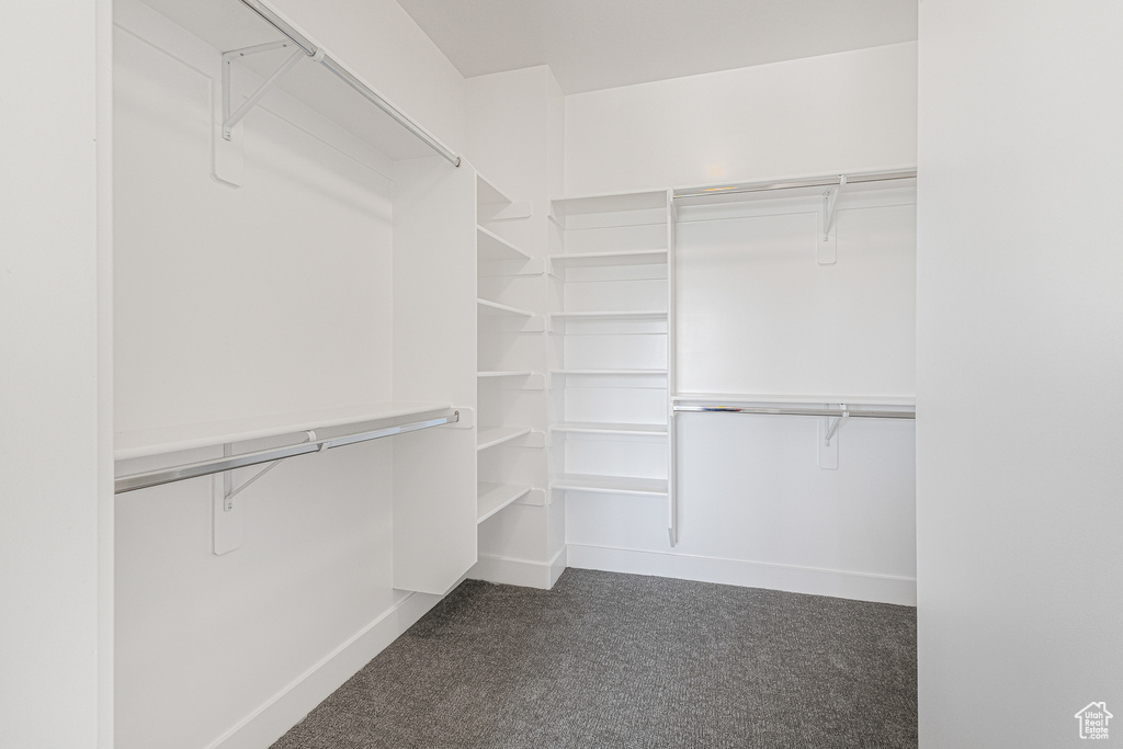 Spacious closet with dark carpet