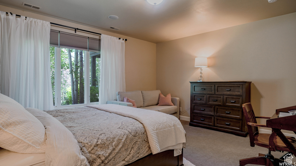 Carpeted bedroom with multiple windows