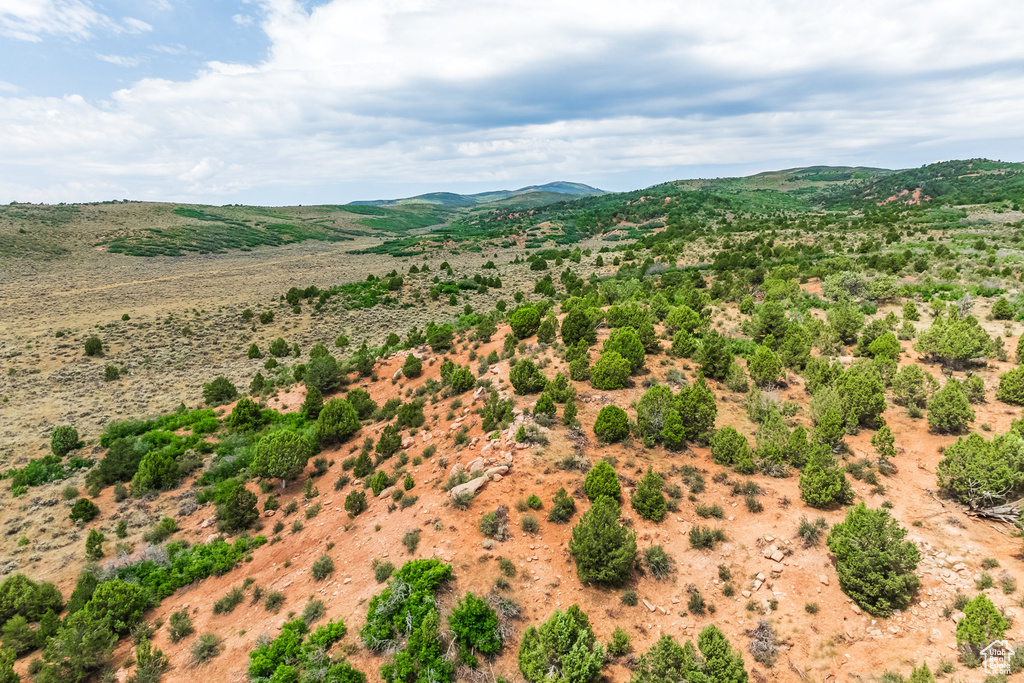 Aerial view with a mountain view