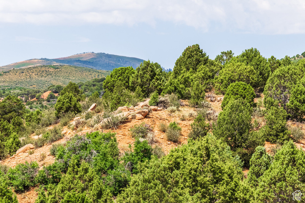 Property view of mountains