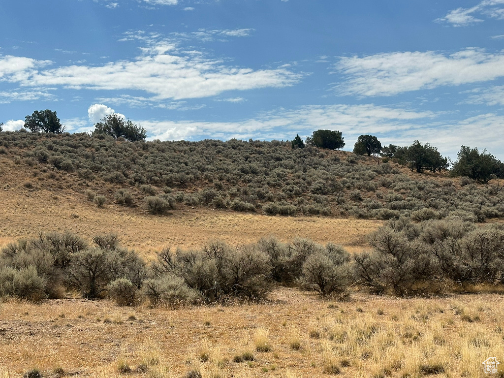 View of nature