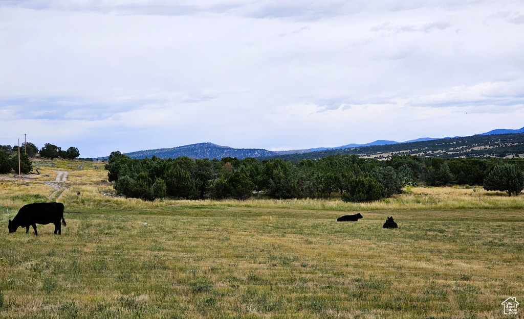 1 N JUINPER FLDS Fairview, UT 84629