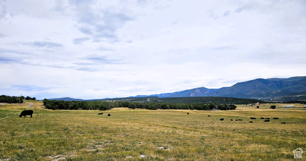 1 N JUINPER FLDS Fairview, UT 84629