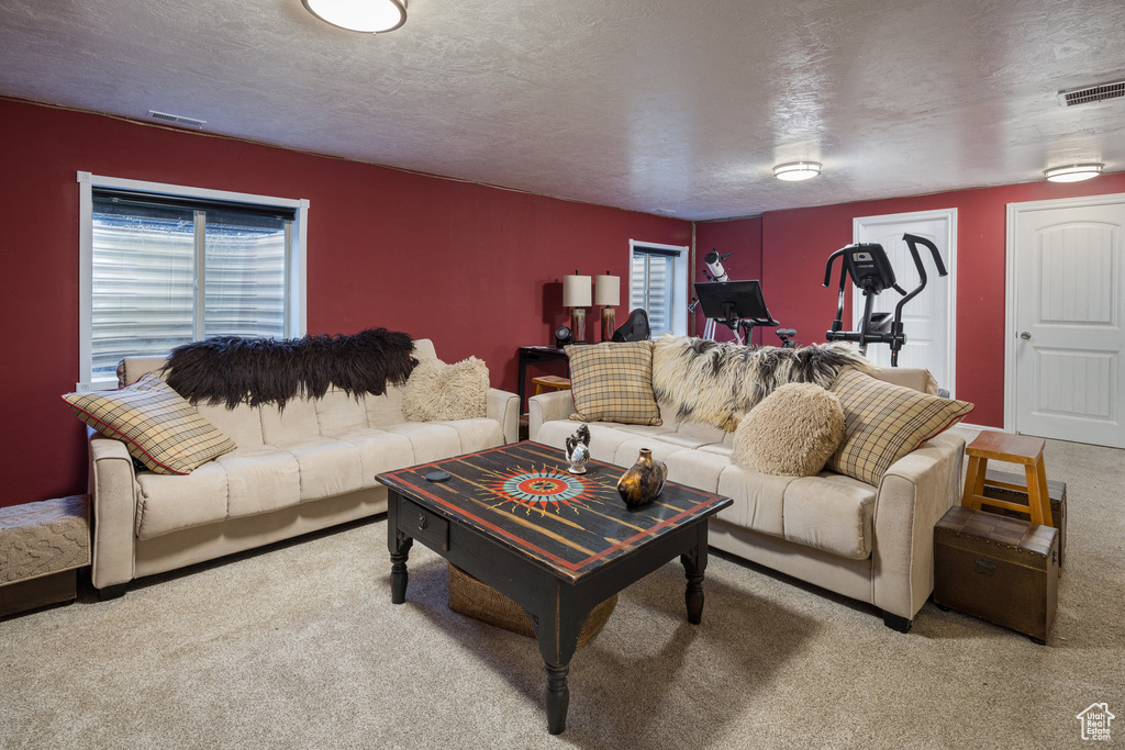 Carpeted living room featuring a healthy amount of sunlight and a textured ceiling