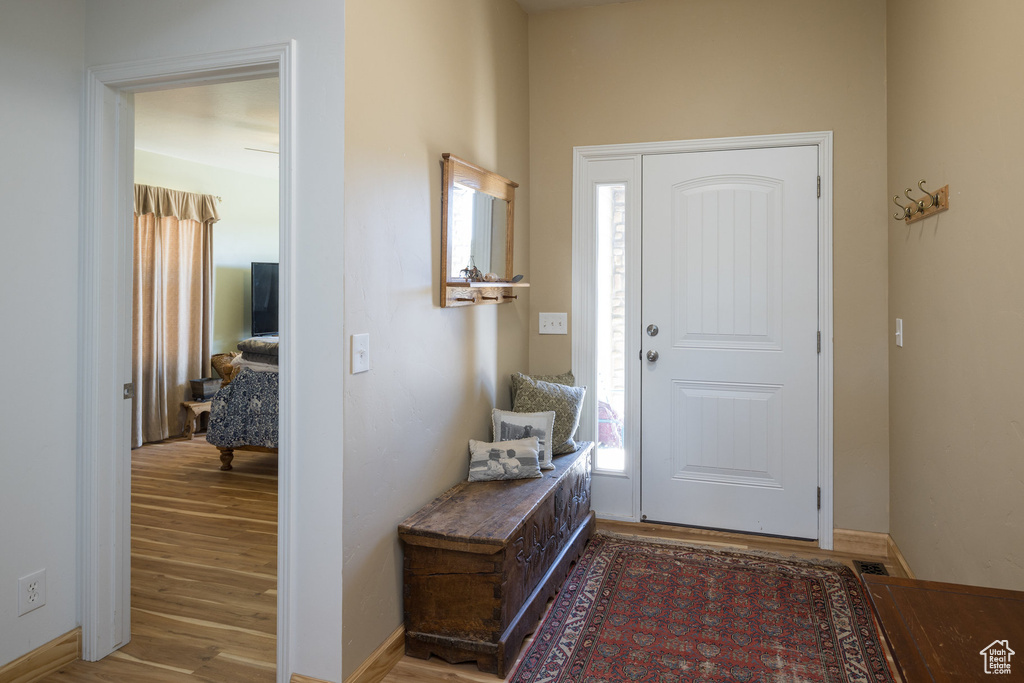 Entrance foyer featuring hardwood / wood-style flooring and plenty of natural light