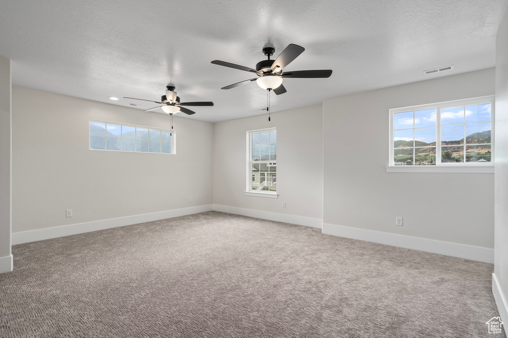 Carpeted spare room featuring plenty of natural light and ceiling fan