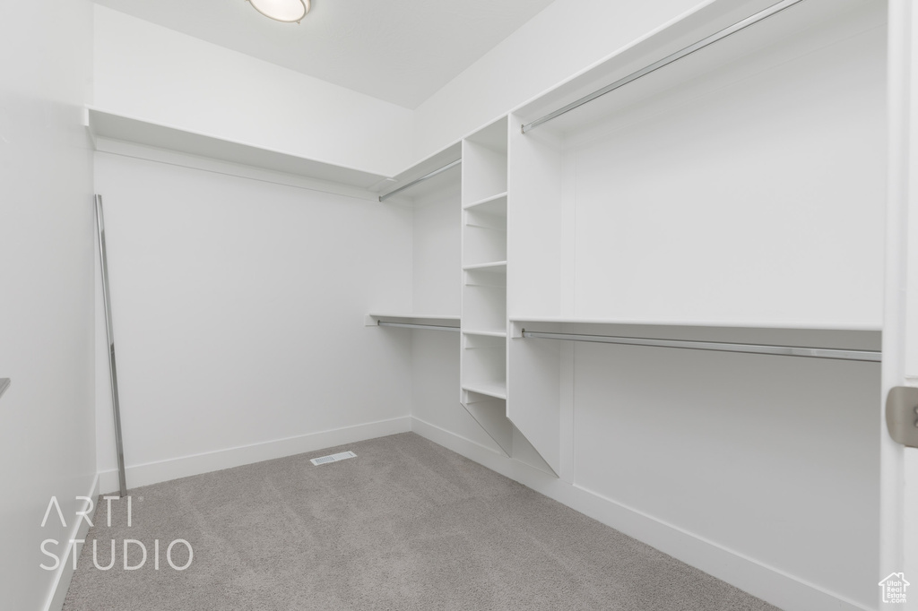 Spacious closet featuring light colored carpet