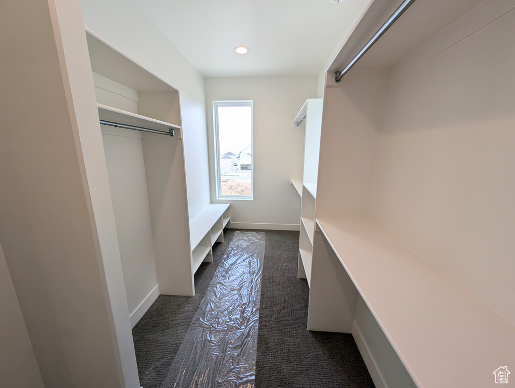 Spacious closet with dark carpet