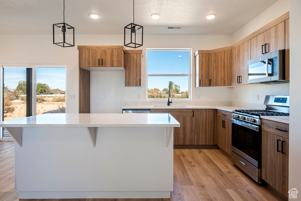 Kitchen featuring sink, pendant lighting, light hardwood / wood-style flooring, and stainless steel appliances