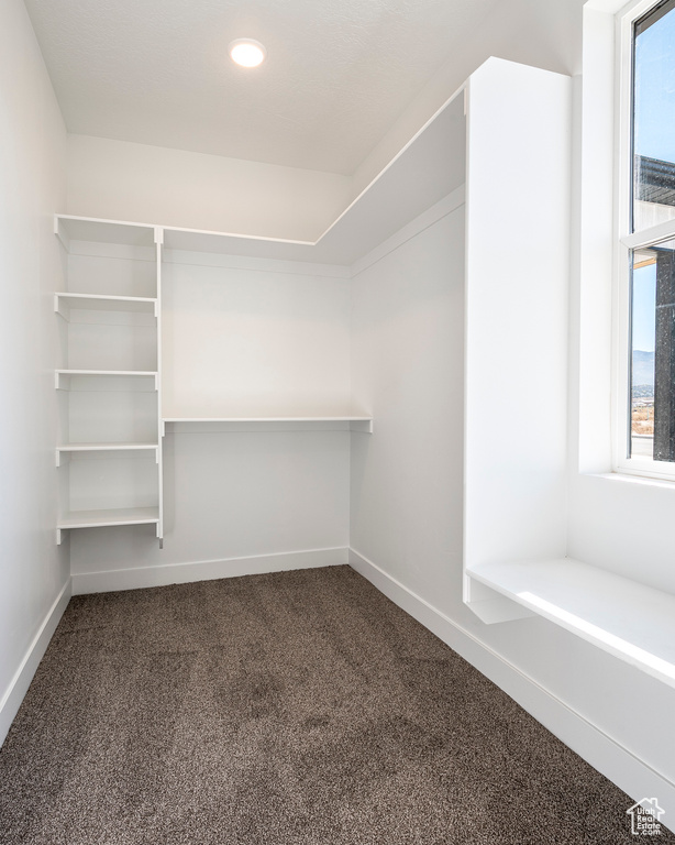 Walk in closet featuring carpet flooring