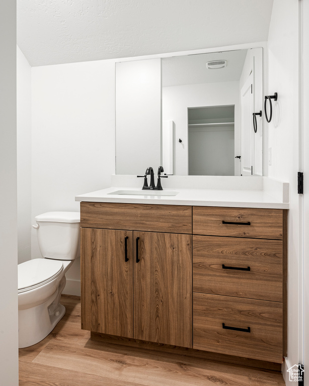 Bathroom with vanity, hardwood / wood-style flooring, and toilet