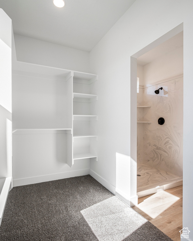 Walk in closet featuring carpet floors