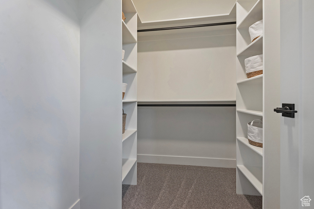 Walk in closet with carpet