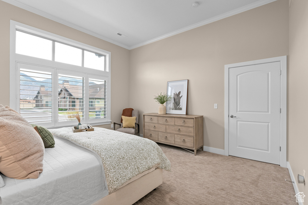 Bedroom featuring crown molding and carpet floors