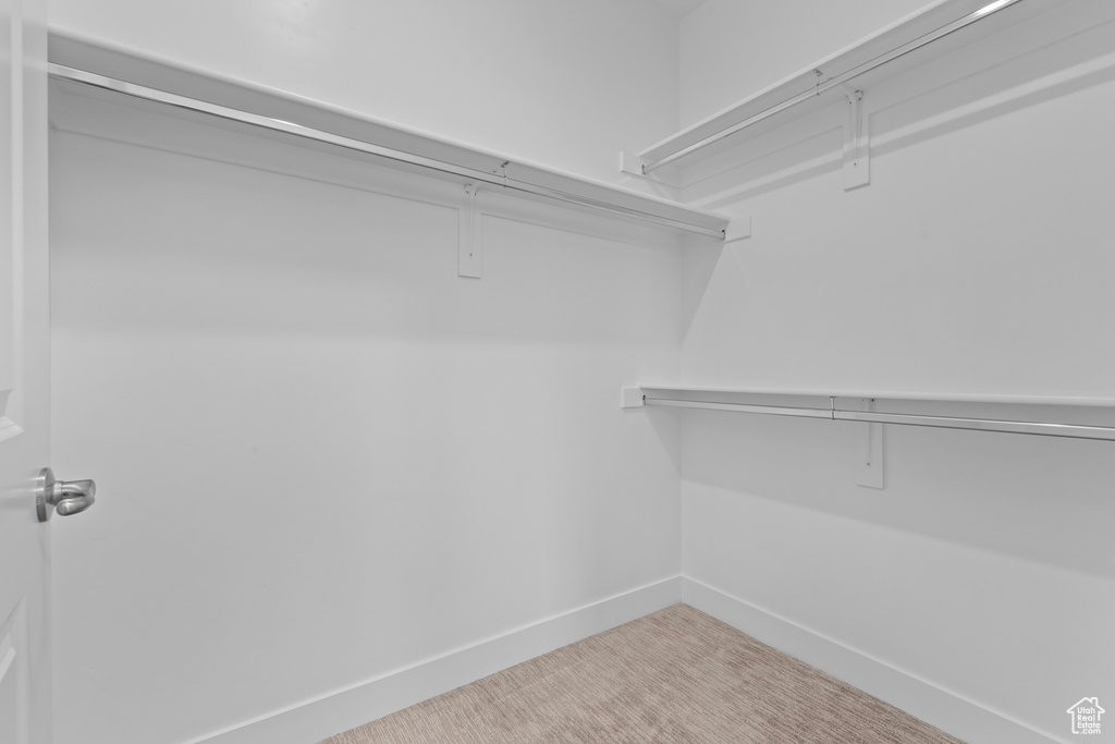 Walk in closet featuring light colored carpet