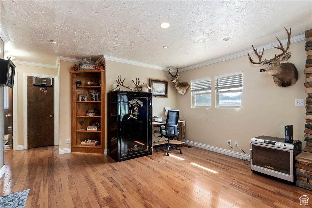 Office space featuring a textured ceiling, ornamental molding, and hardwood / wood-style flooring