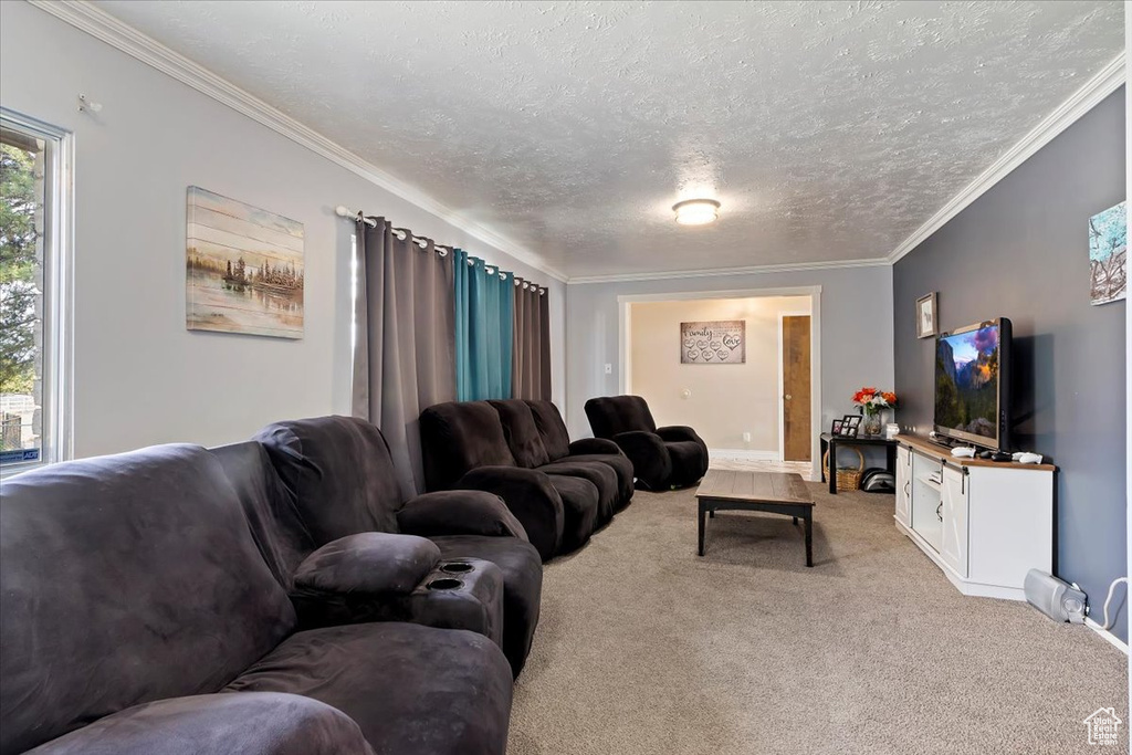 Carpeted living room featuring a textured ceiling and ornamental molding