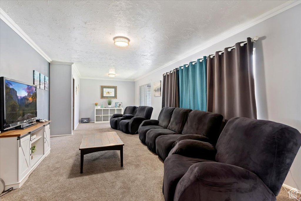 Carpeted living room featuring a textured ceiling and ornamental molding