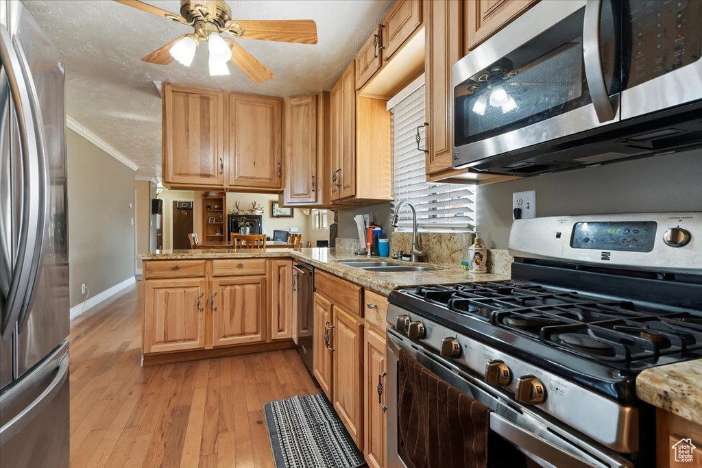 Kitchen with stainless steel appliances, ceiling fan, sink, ornamental molding, and light hardwood / wood-style flooring