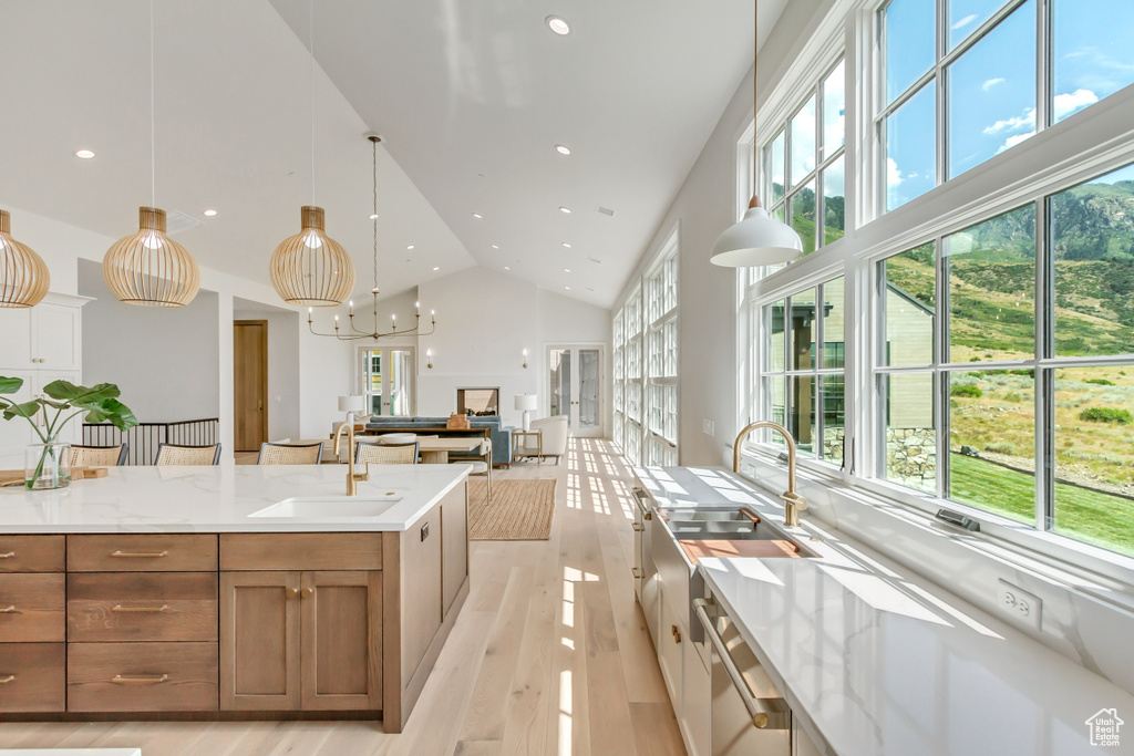 Kitchen featuring sink, a healthy amount of sunlight, and light hardwood / wood-style floors