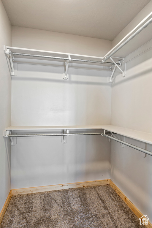 Walk in closet featuring carpet flooring