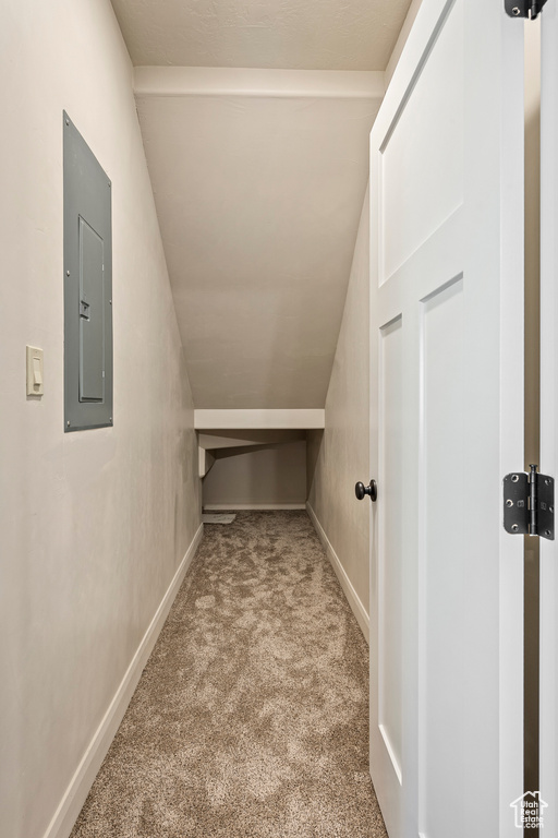 Additional living space featuring electric panel, light carpet, and vaulted ceiling