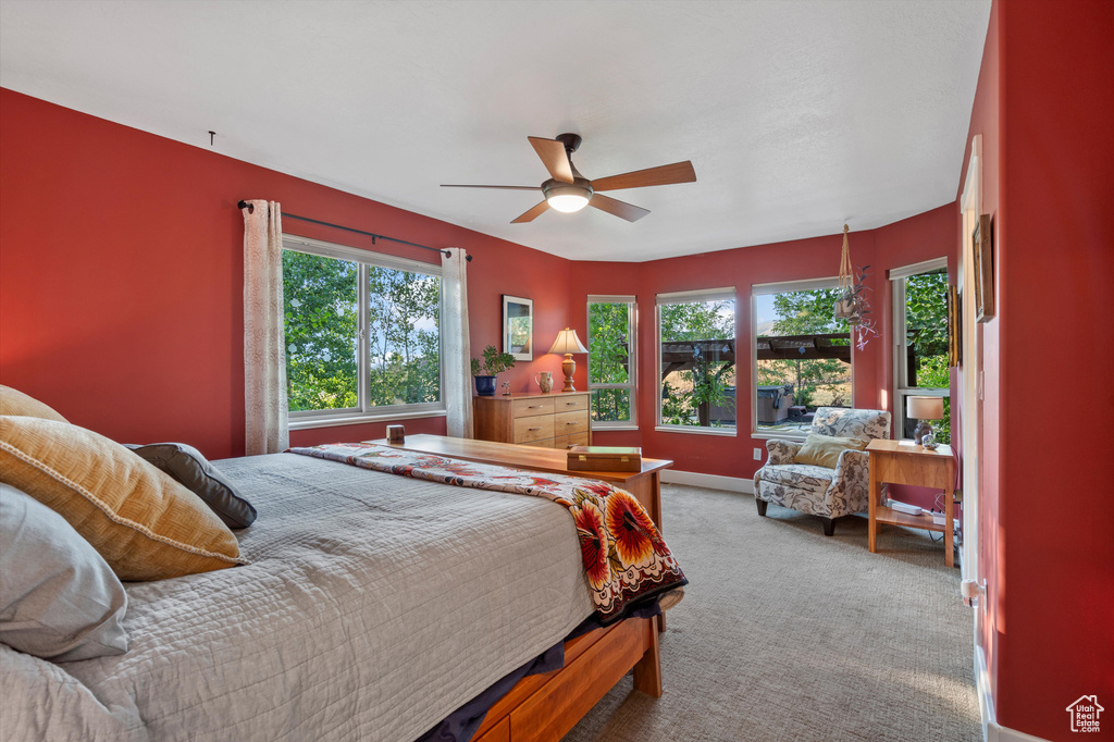 Bedroom with ceiling fan, multiple windows, and carpet