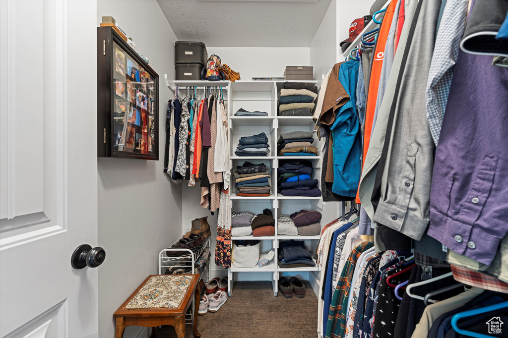 Walk in closet with carpet flooring