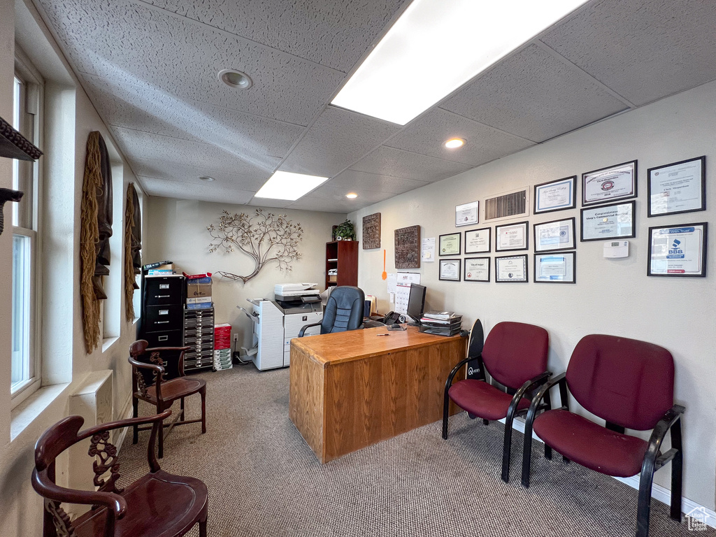 Carpeted office with a paneled ceiling